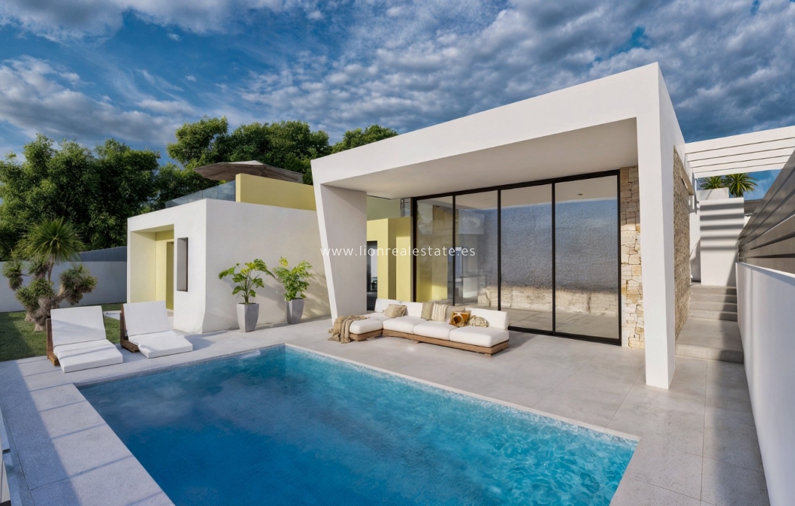 Nowy budynek - detached - Torrevieja