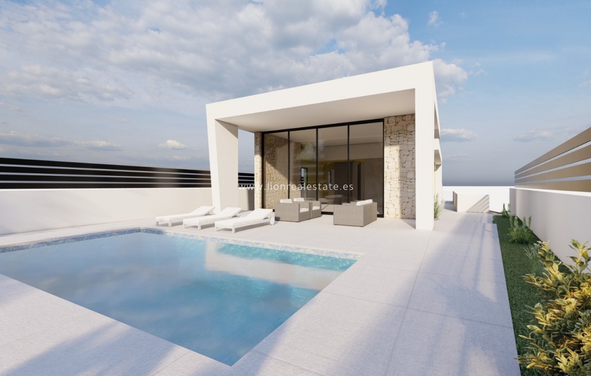 Nowy budynek - detached - Torrevieja
