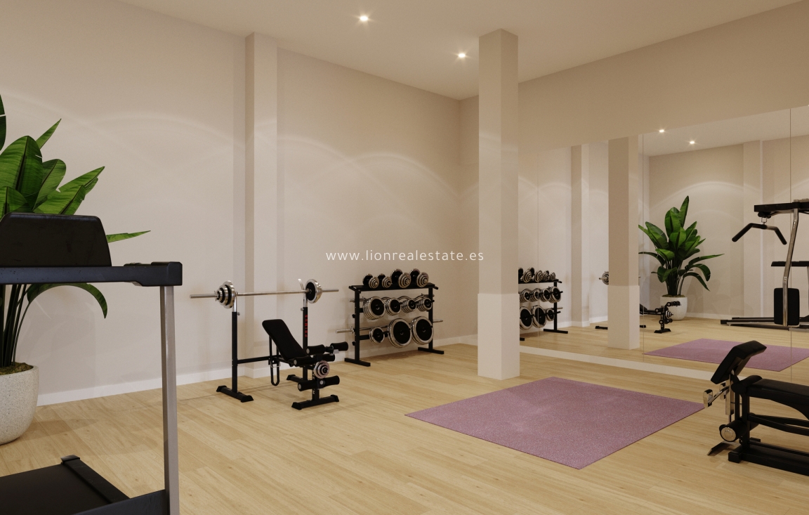 Nowy budynek - ground-floor - Algorfa