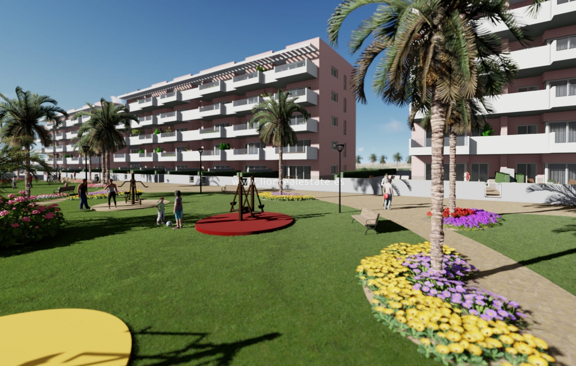 Nowy budynek - ground-floor - Guardamar del Segura
