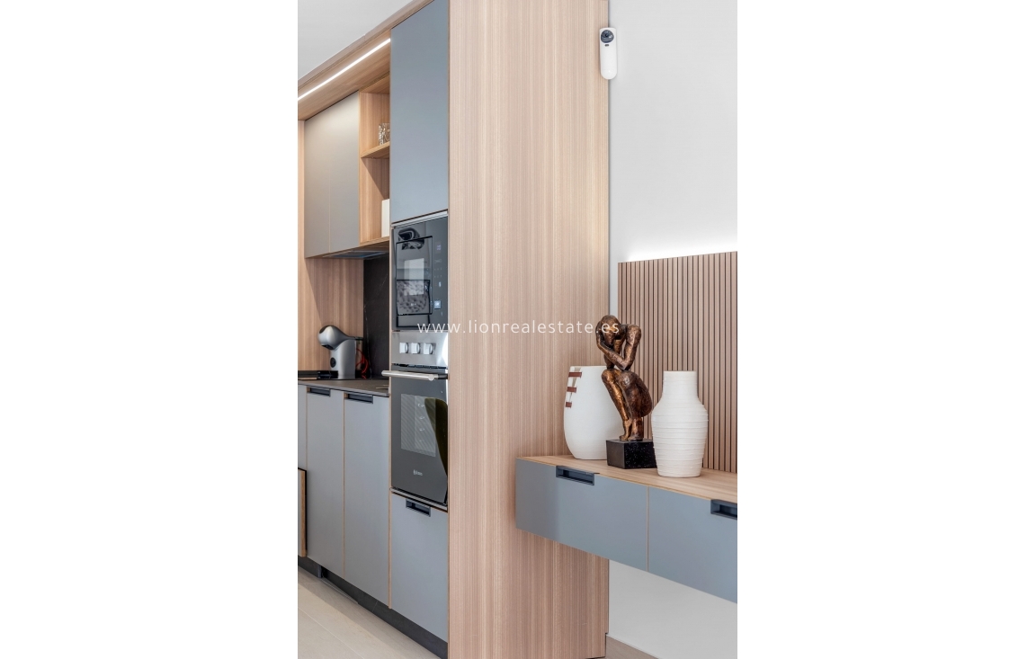 Nowy budynek - ground-floor - Guardamar del Segura