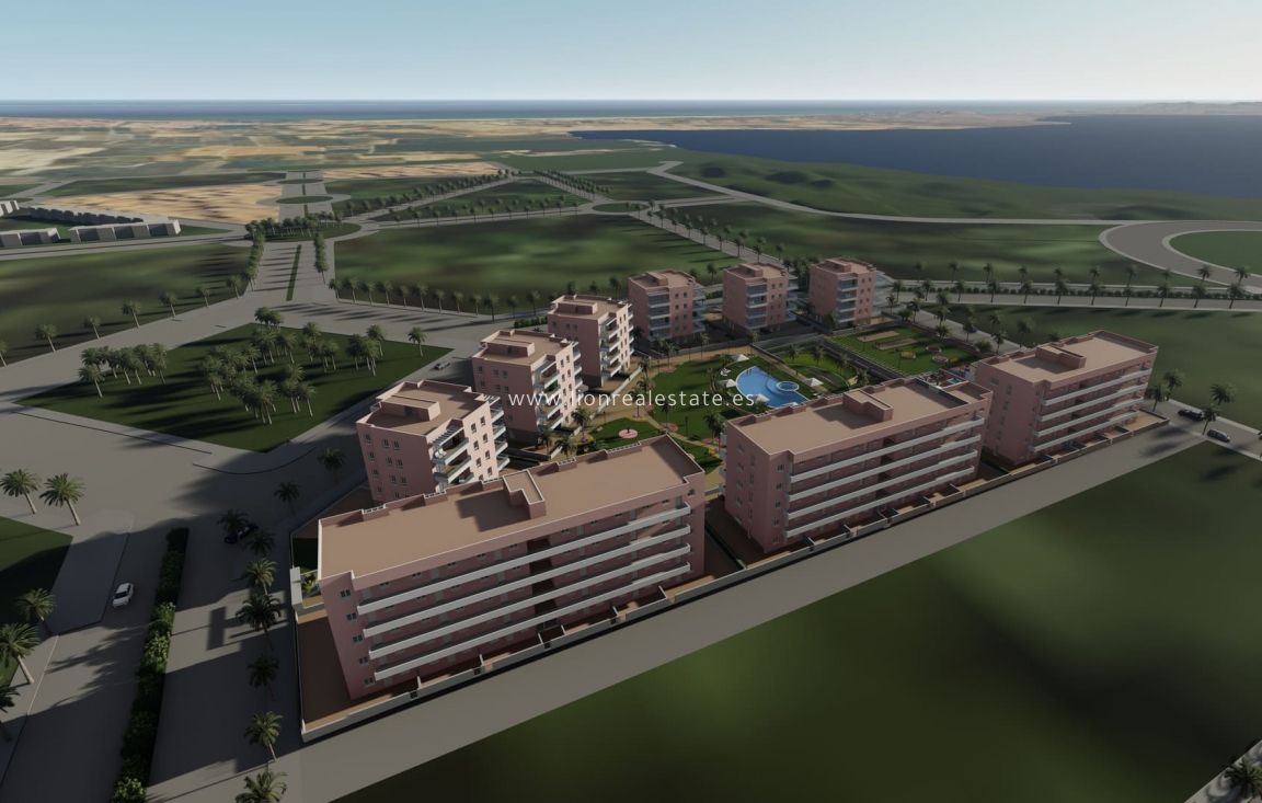 Nowy budynek - ground-floor - Guardamar del Segura
