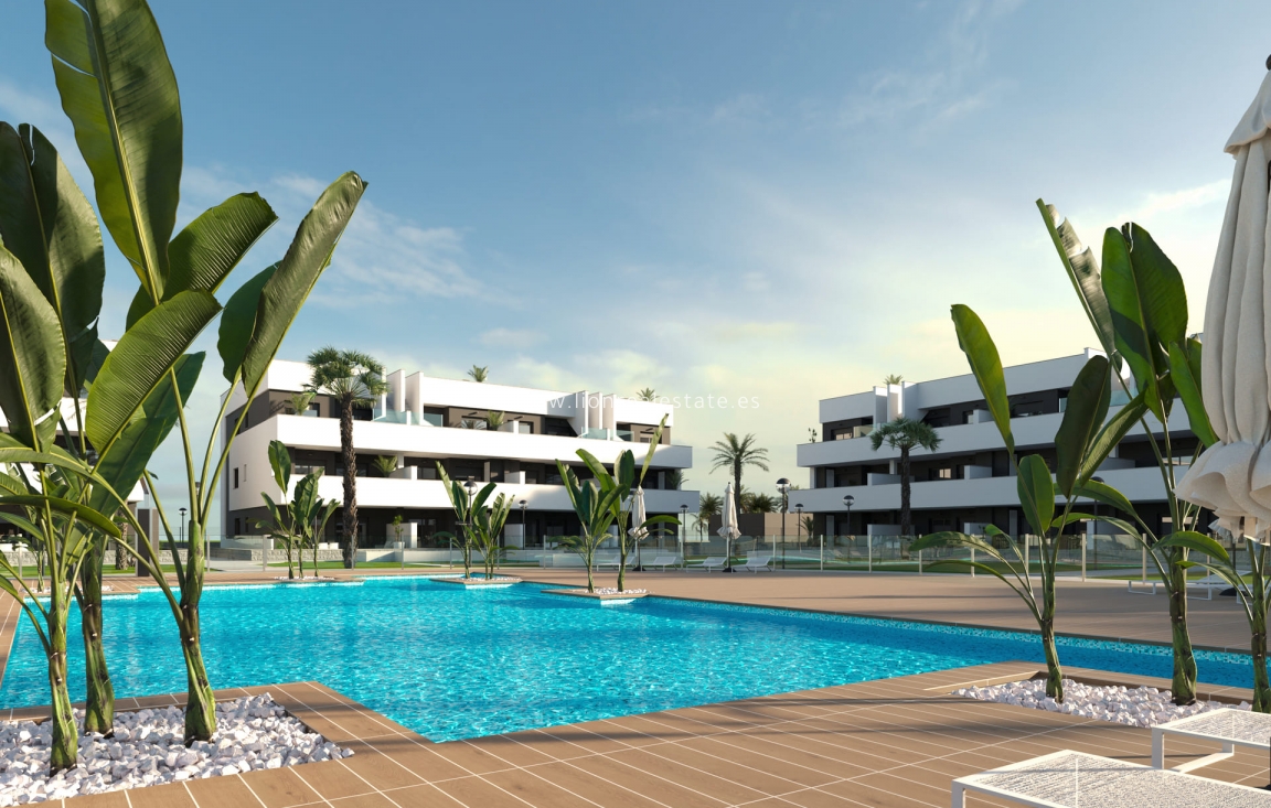 Nowy budynek - ground-floor - Guardamar del Segura