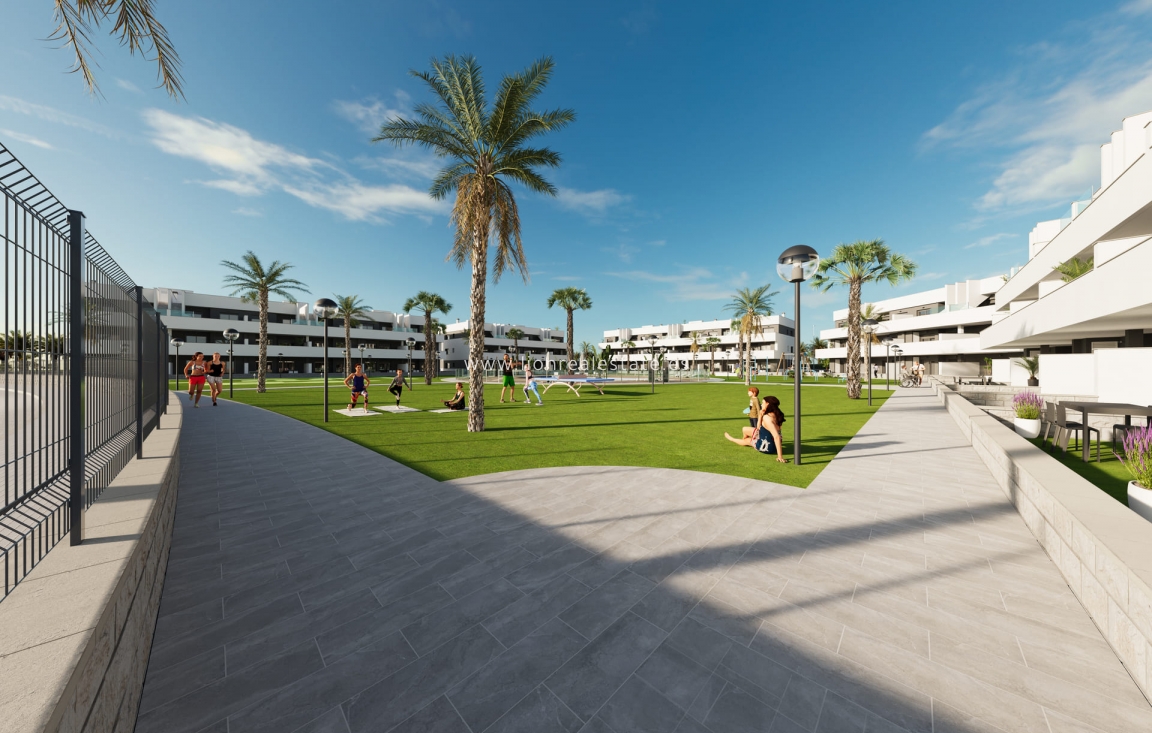 Nowy budynek - ground-floor - Guardamar del Segura