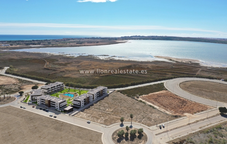 Nowy budynek - ground-floor - Guardamar del Segura