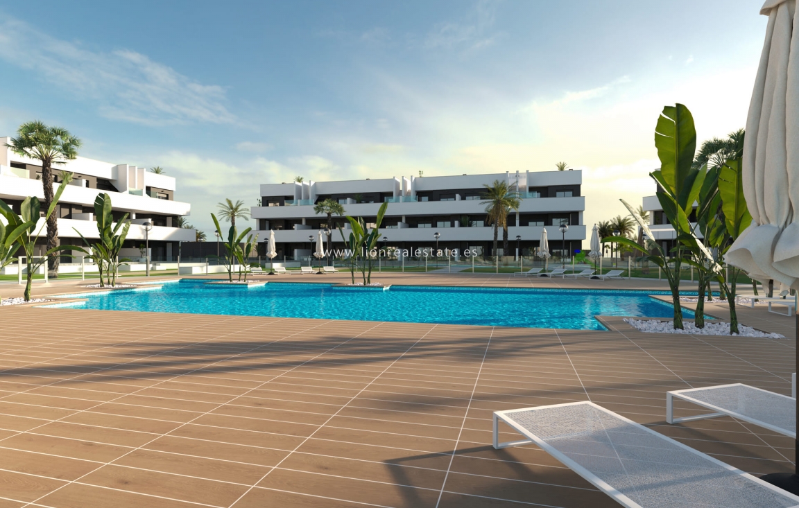 Nowy budynek - ground-floor - Guardamar del Segura
