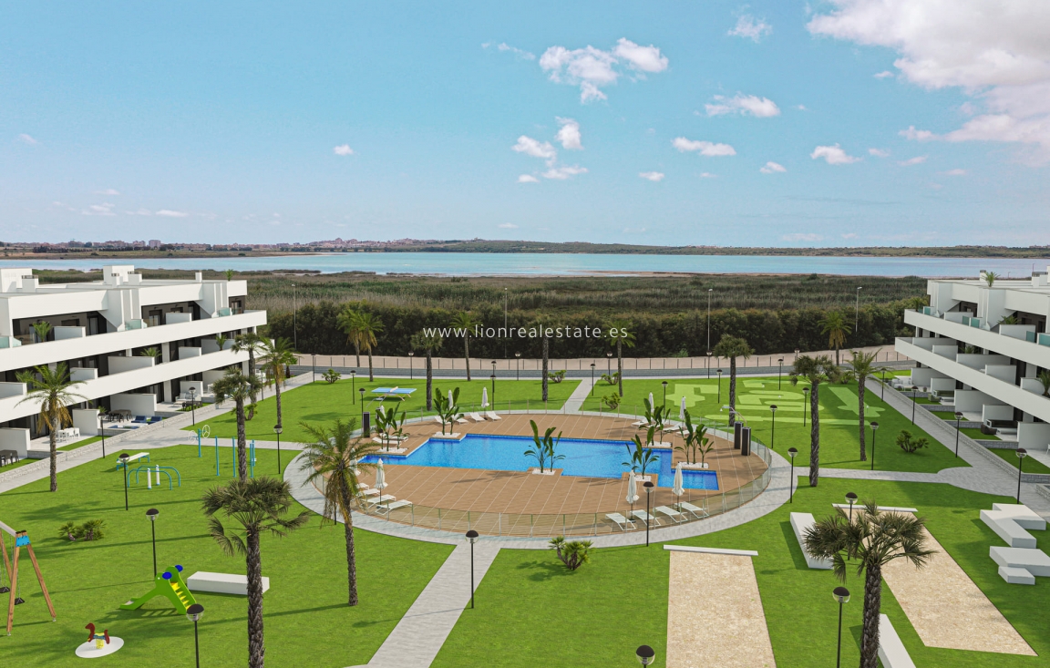 Nowy budynek - ground-floor - Guardamar del Segura