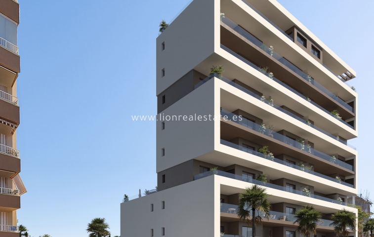 Nowy budynek - ground-floor - Guardamar del Segura