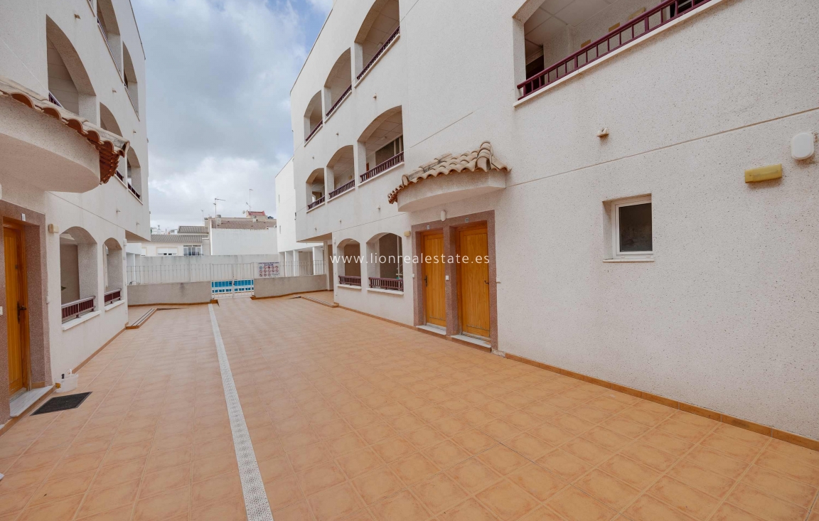 Nowy budynek - ground-floor - San Fulgencio