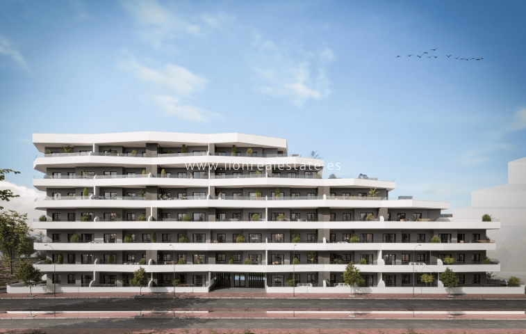 Nowy budynek - ground-floor - San Miguel de Salinas - San Miguel De Salinas