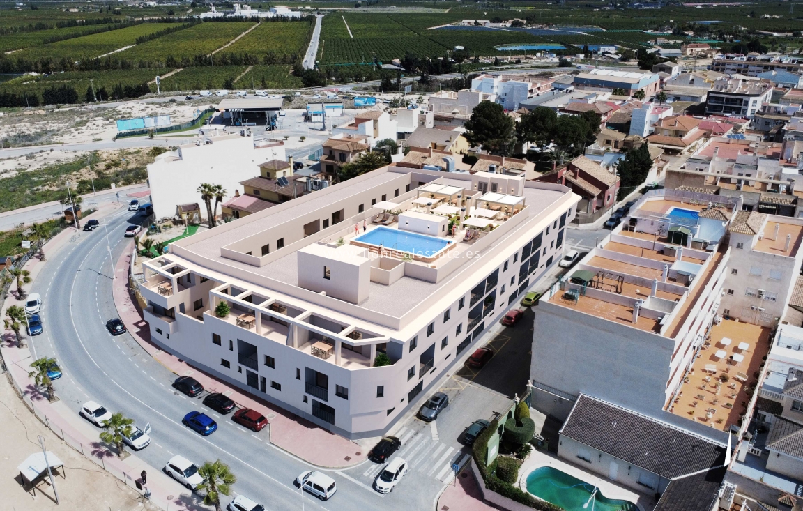 Nowy budynek - ground-floor - San Miguel de Salinas - San Miguel De Salinas