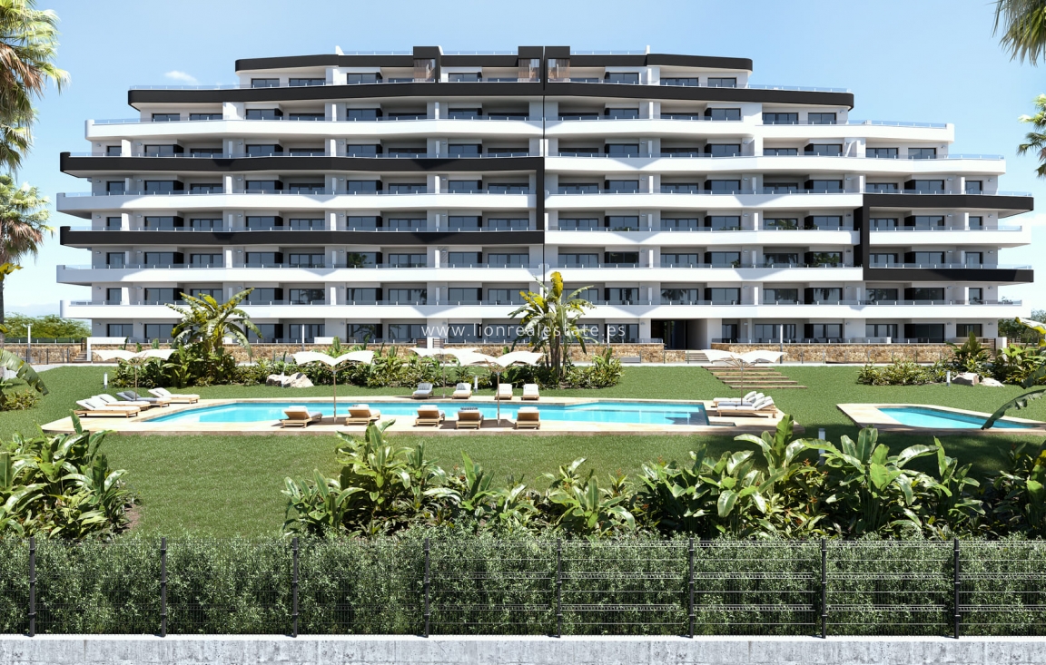 Nowy budynek - ground-floor - San Miguel de Salinas - San Miguel De Salinas