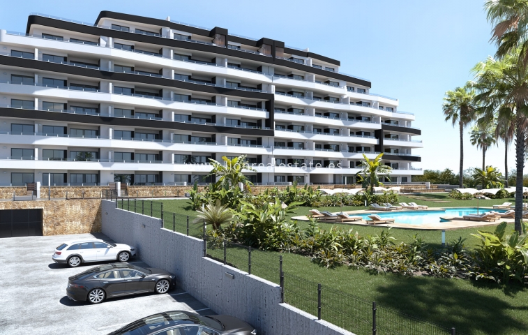 Nowy budynek - ground-floor - San Miguel de Salinas - San Miguel De Salinas