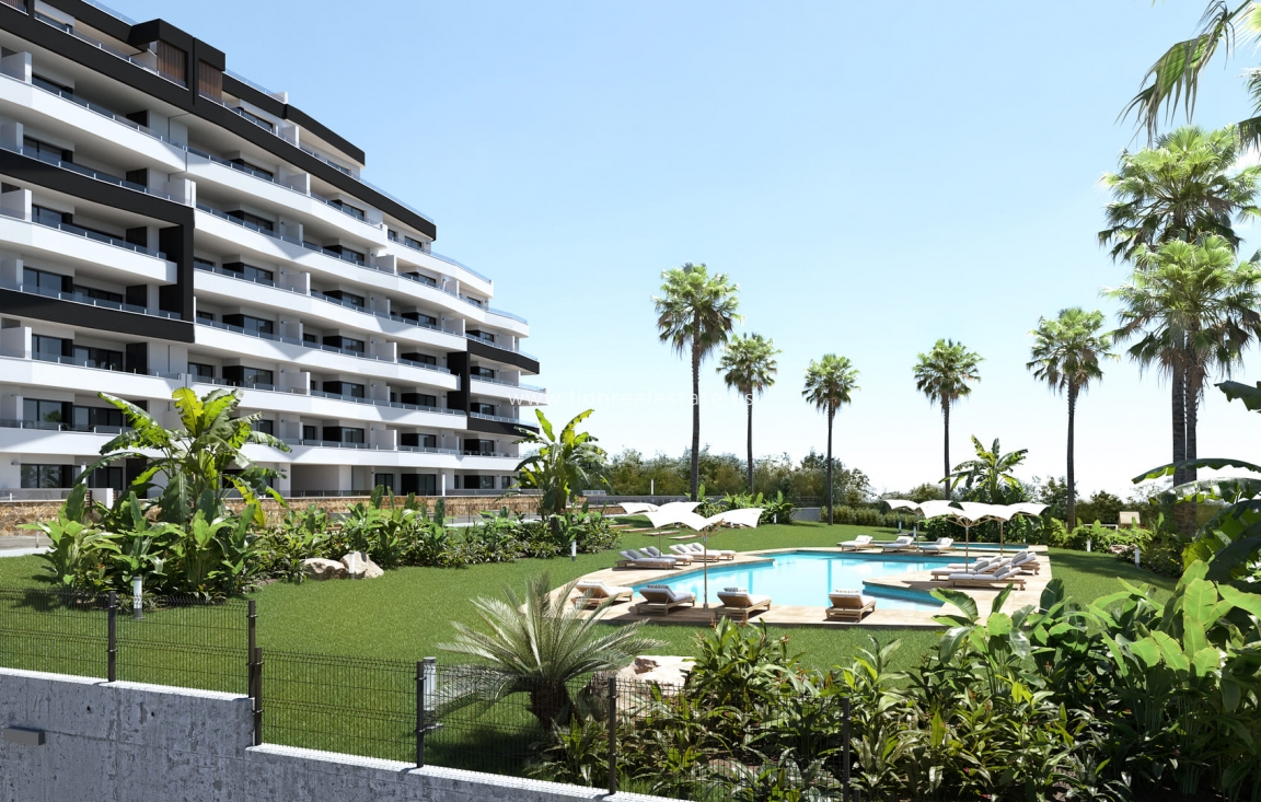 Nowy budynek - ground-floor - San Miguel de Salinas - San Miguel De Salinas