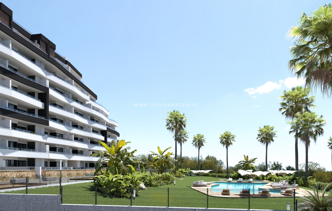 Nowy budynek - ground-floor - San Miguel de Salinas - San Miguel De Salinas
