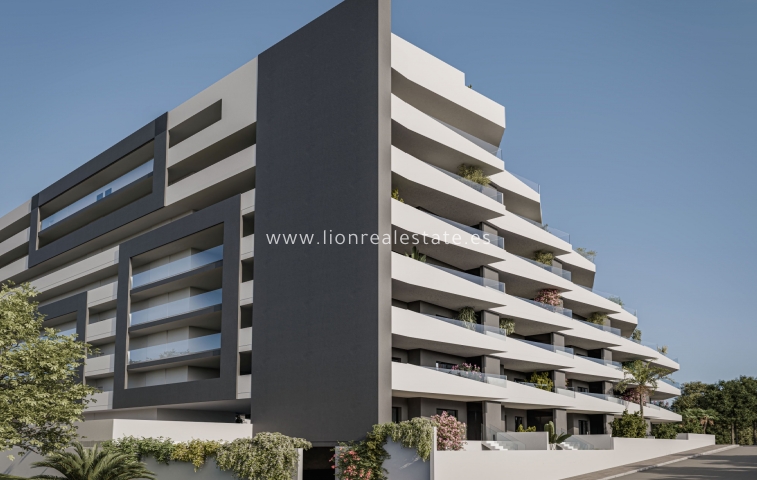 Nowy budynek - ground-floor - San Miguel de Salinas - San Miguel De Salinas