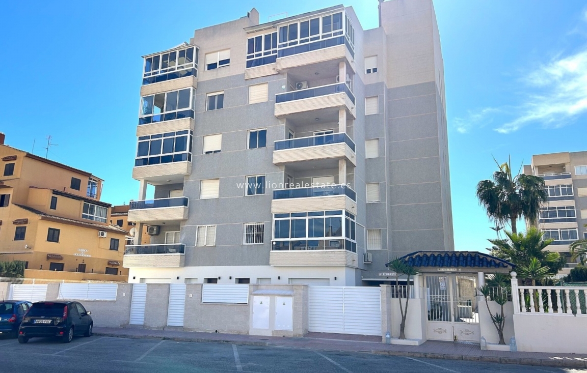 Nowy budynek - ground-floor - Torrevieja