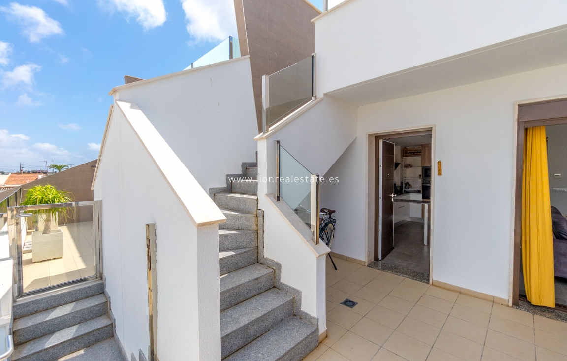 Nowy budynek - high-bungalow - San Pedro del Pinatar - San Pedro Del Pinatar