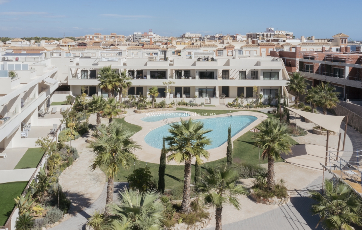 Nowy budynek - high-bungalow - Torrevieja