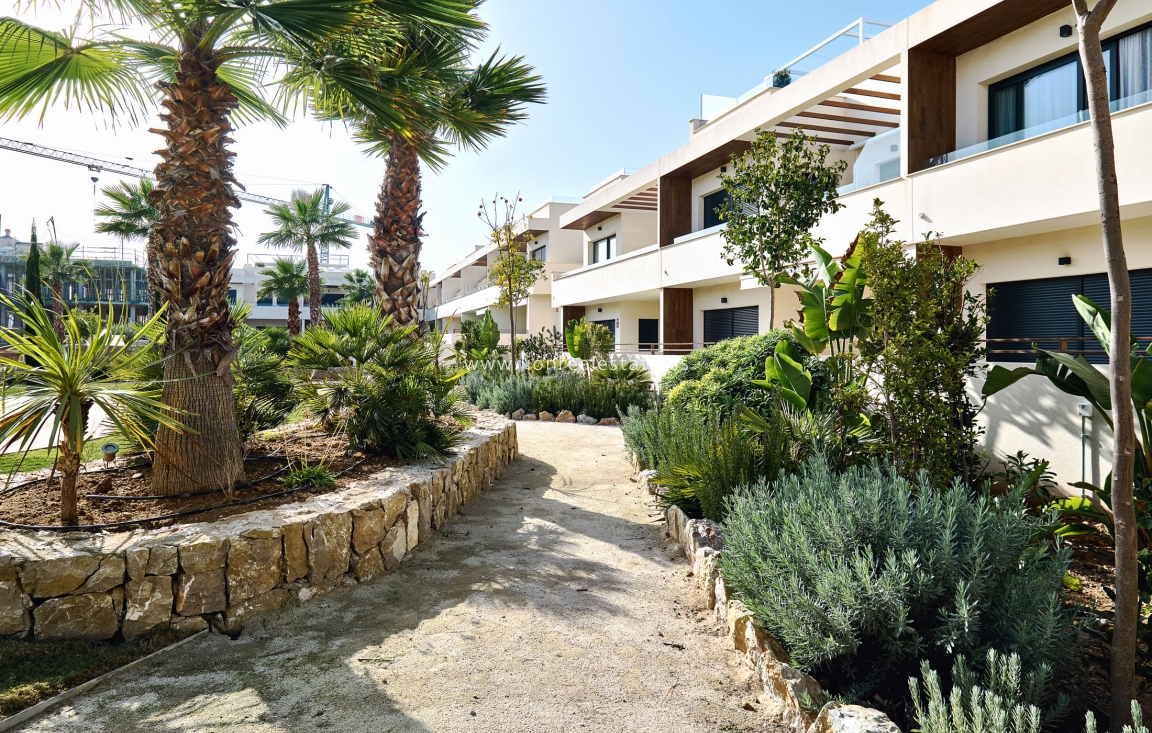 Nowy budynek - high-bungalow - Torrevieja