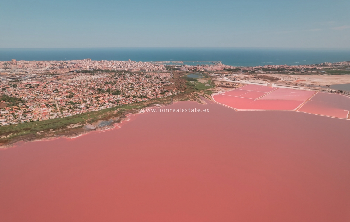 Nowy budynek - high-bungalow - Torrevieja