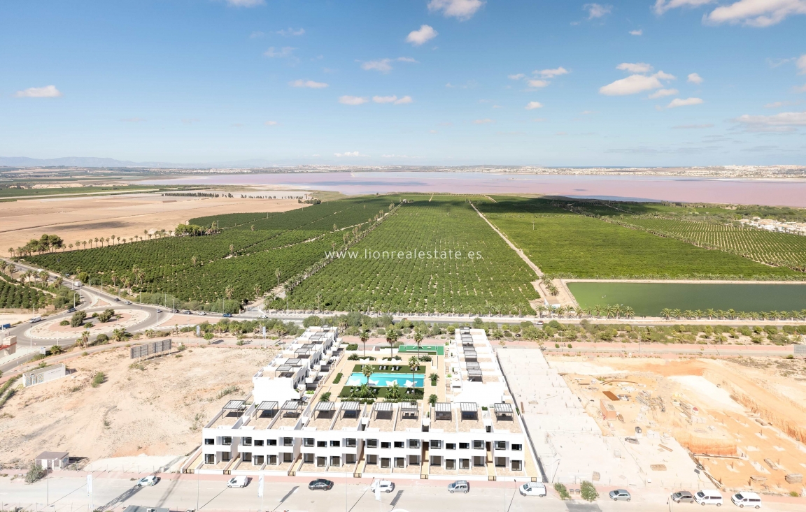 Nowy budynek - low-bungalow - Torrevieja