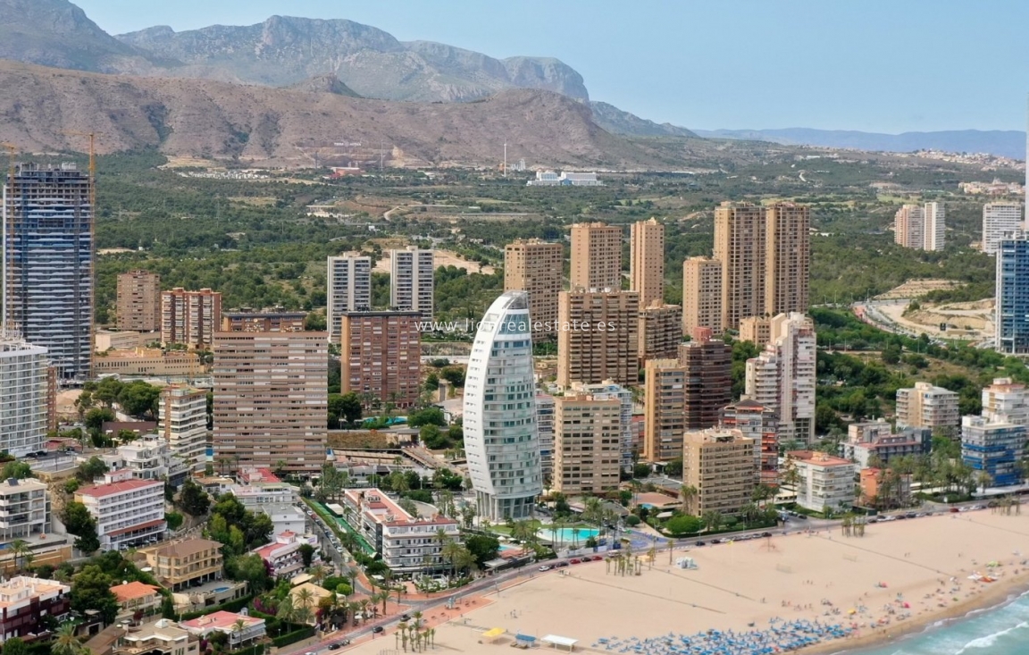 Nowy budynek - Mieszkanie w bloku - Benidorm - Playa Poniente