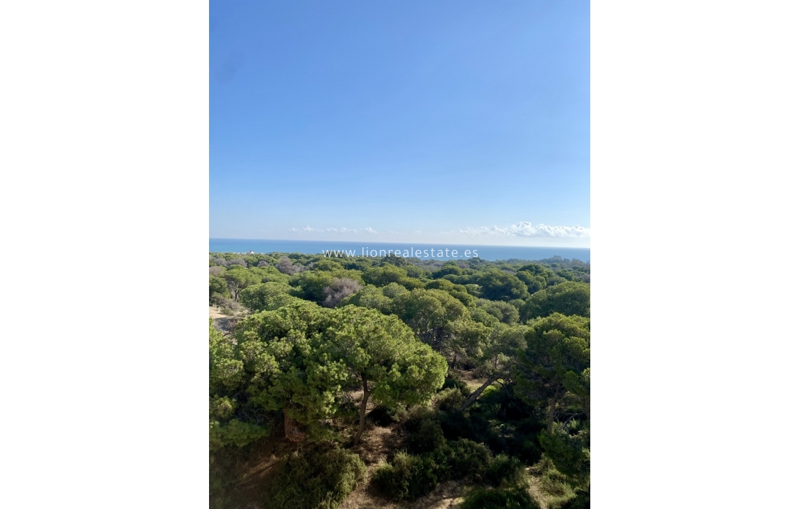 Nowy budynek - Mieszkanie w bloku - Guardamar del Segura