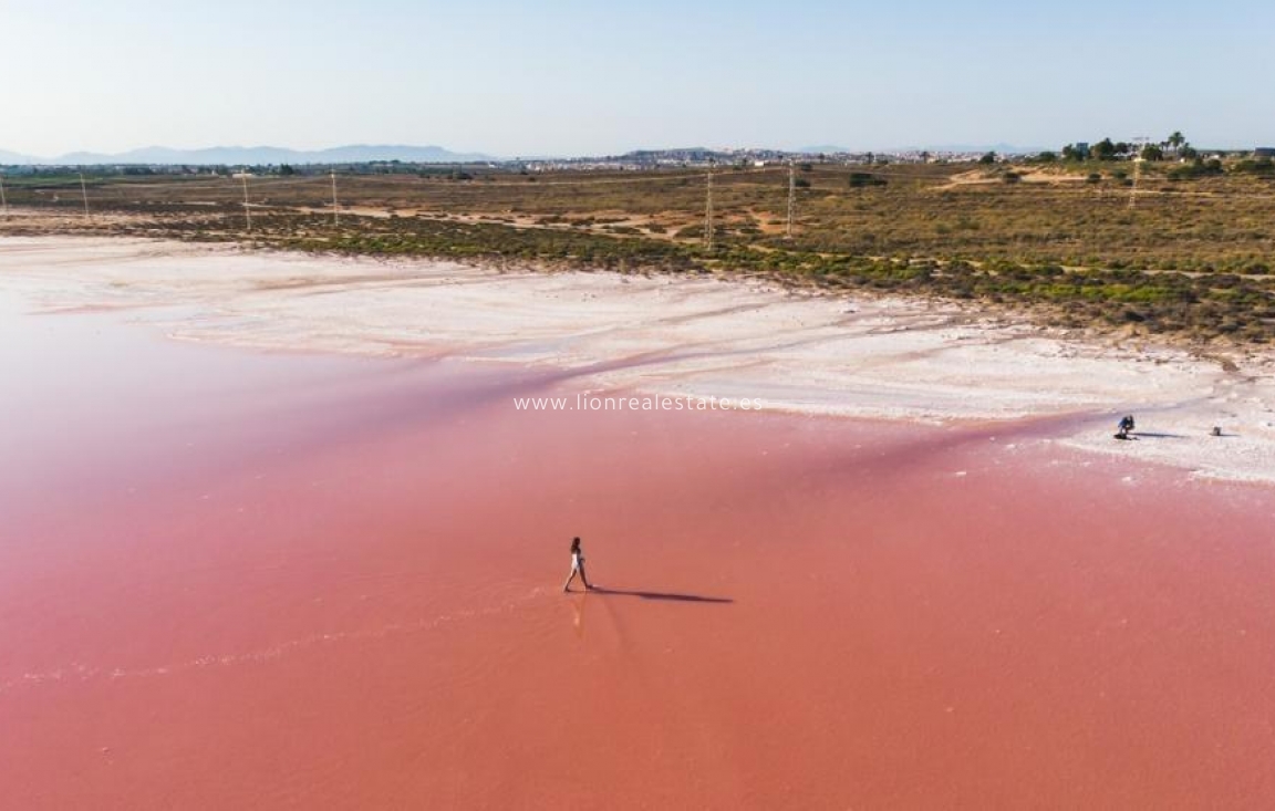 Nowy budynek - Mieszkanie w bloku - Torrevieja - Playa de El Cura