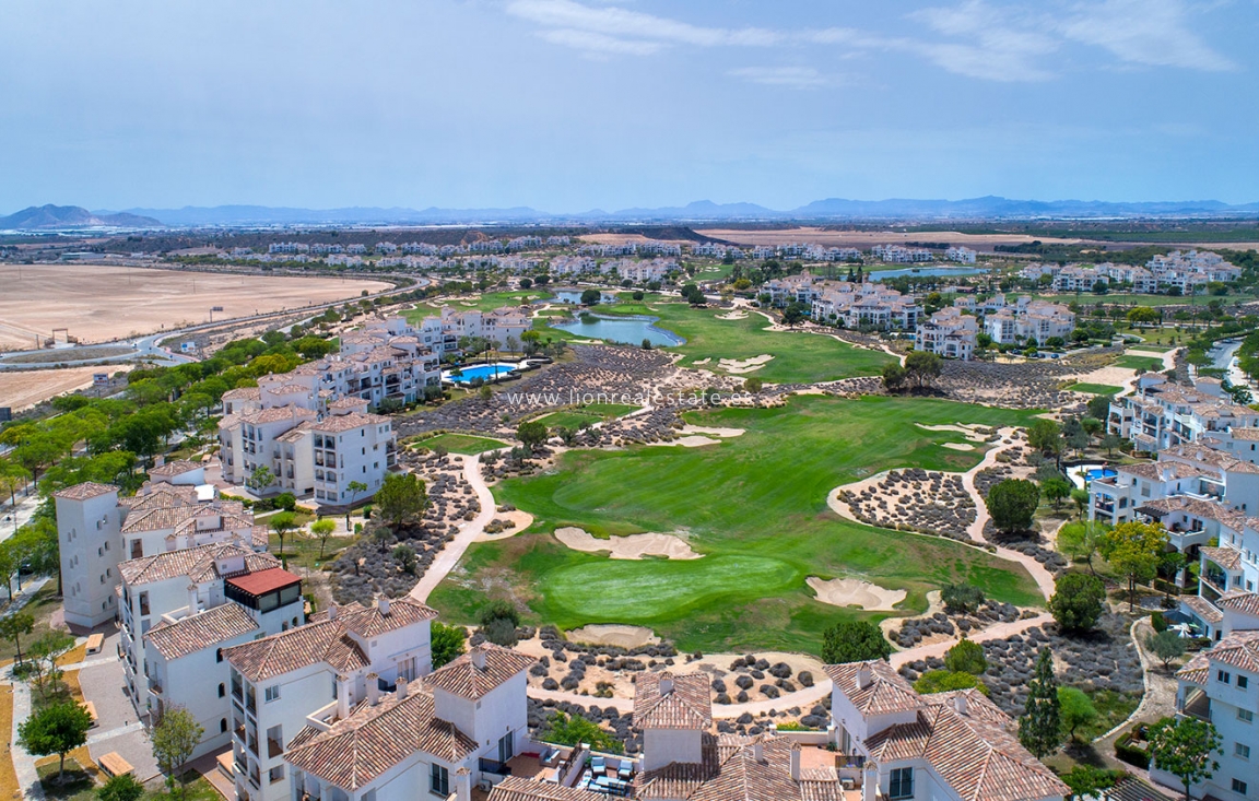 Nowy budynek - terraced - Sucina