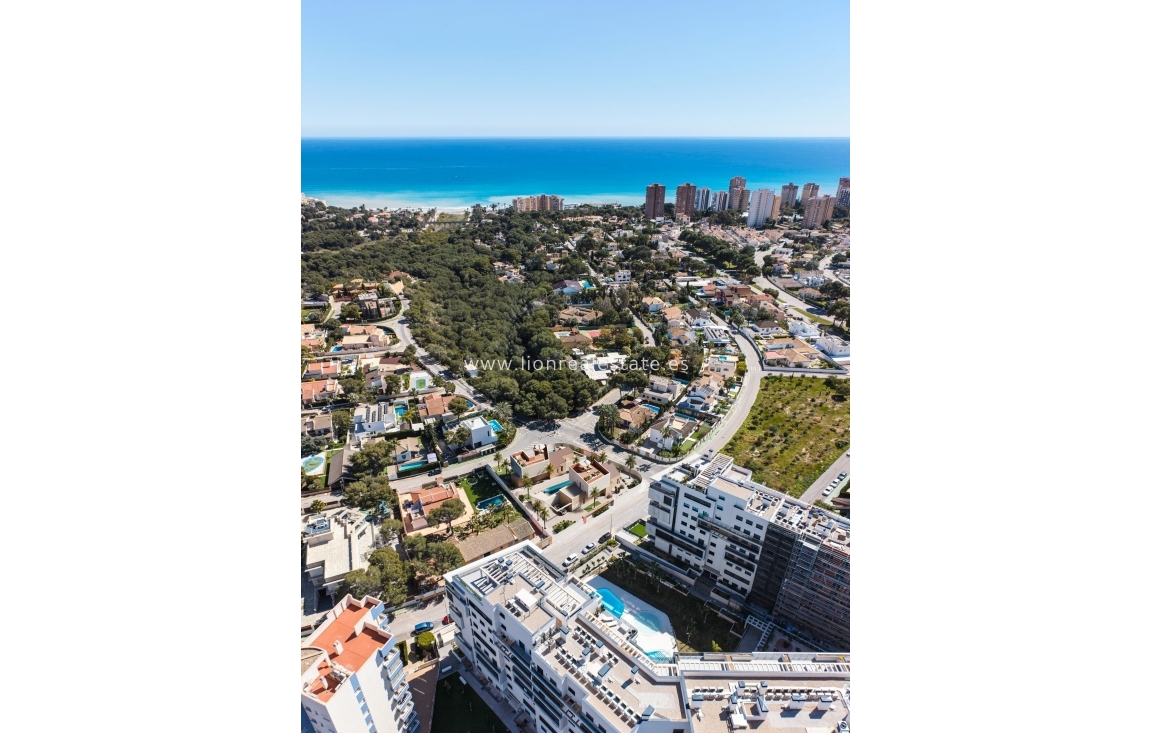 Nowy budynek - Villa - Dehesa de Campoamor - Dehesa de campoamor