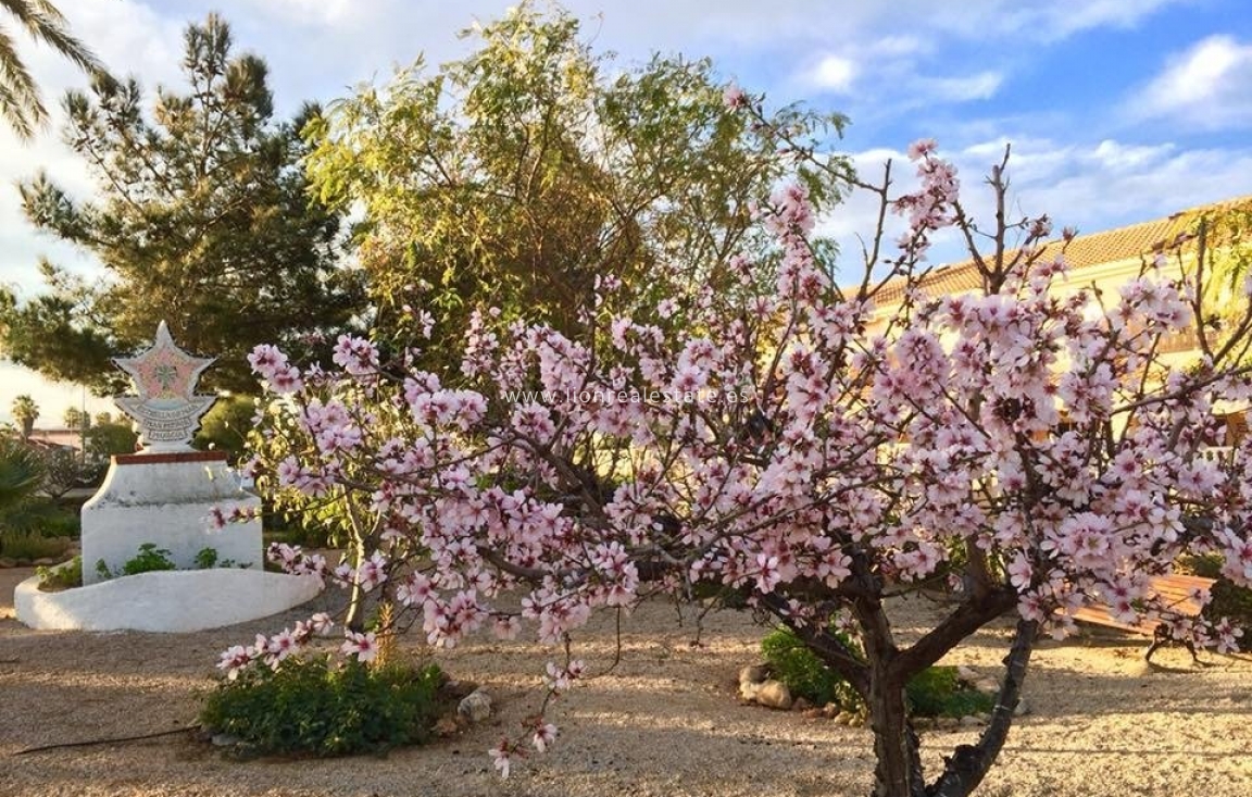 Nowy budynek - Villa - Los Urrutias - Estrella De Mar