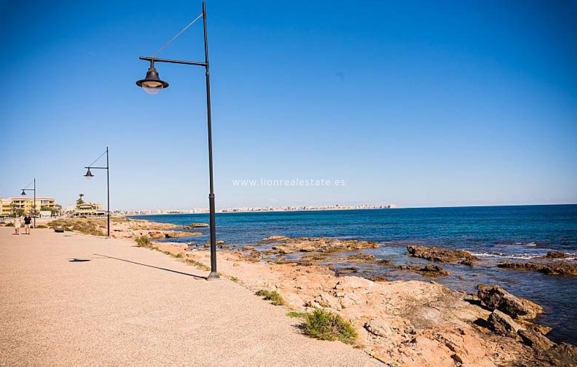 Nowy budynek - Villa - Orihuela Costa - Punta Prima