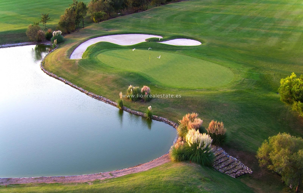 Nowy budynek - Villa - Pilar de La Horadada - Lo Romero Golf