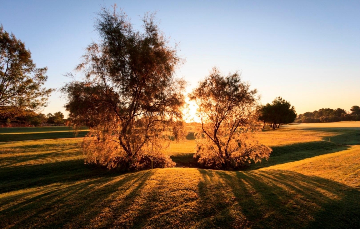 Nowy budynek - Villa - Pilar de La Horadada - Lo Romero Golf