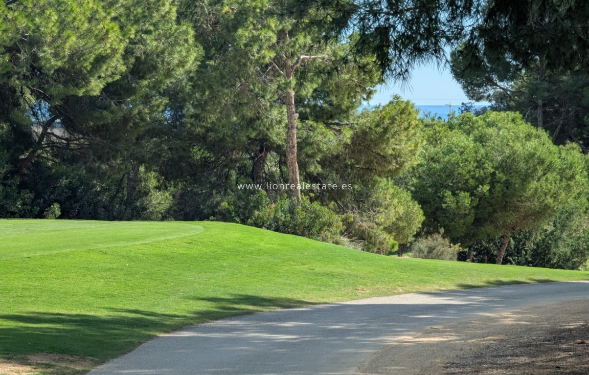 Nowy budynek - Villa - Pilar de La Horadada - Pilar de la Horadada