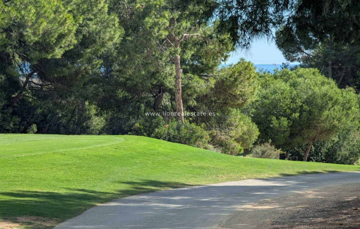 Nowy budynek - Villa - Pilar de la Horadada - Pinar de Campoverde