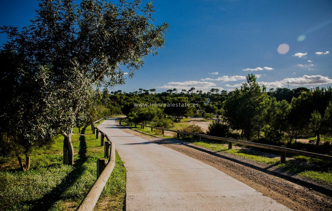 Nowy budynek - Villa - Rojales - Doña Pepa