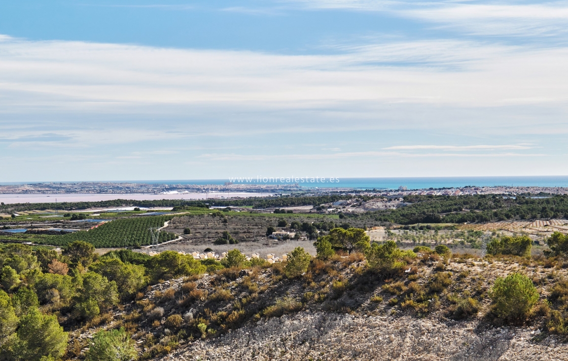 Nowy budynek - Villa - San Miguel de Salinas - San Miguel De Salinas