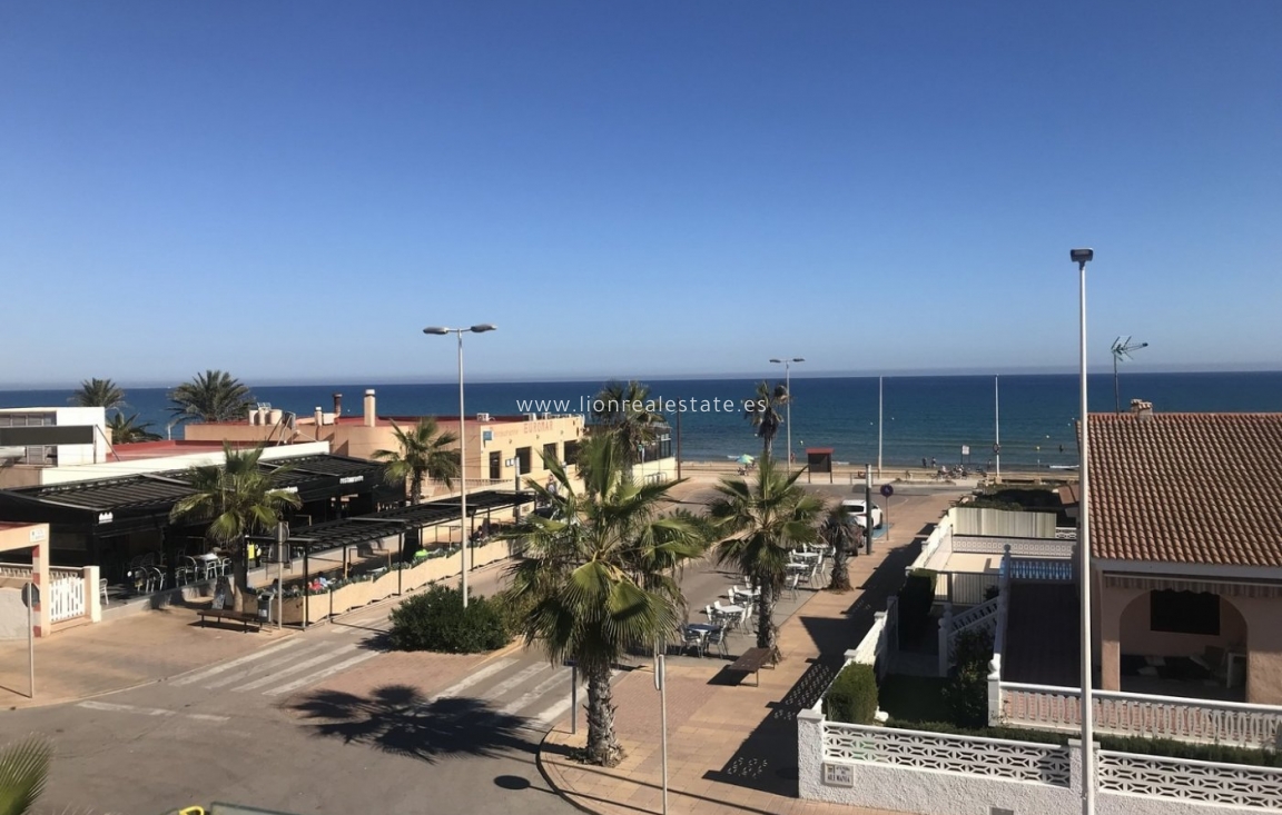 Nowy budynek - Villa - Torrevieja - La Mata