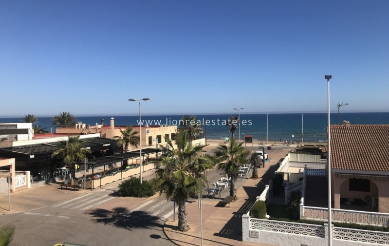 Nowy budynek - Villa - Torrevieja - La Mata