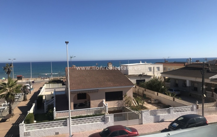 Nowy budynek - Villa - Torrevieja - La Mata