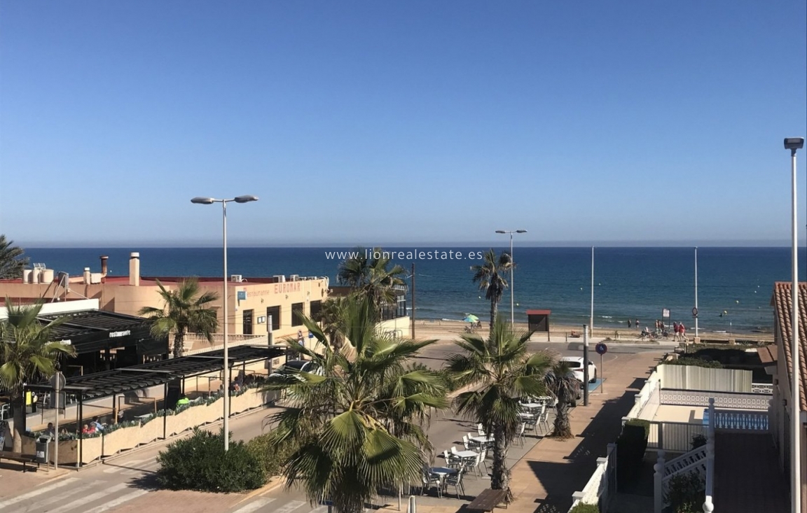 Nowy budynek - Villa - Torrevieja - La Mata