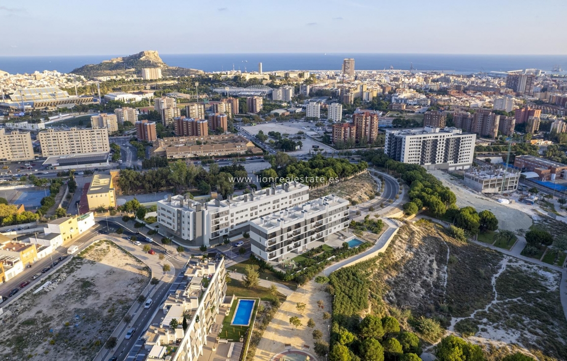 Obra nueva - Apartamento / piso - Alicante - San Agustín-PAU 2