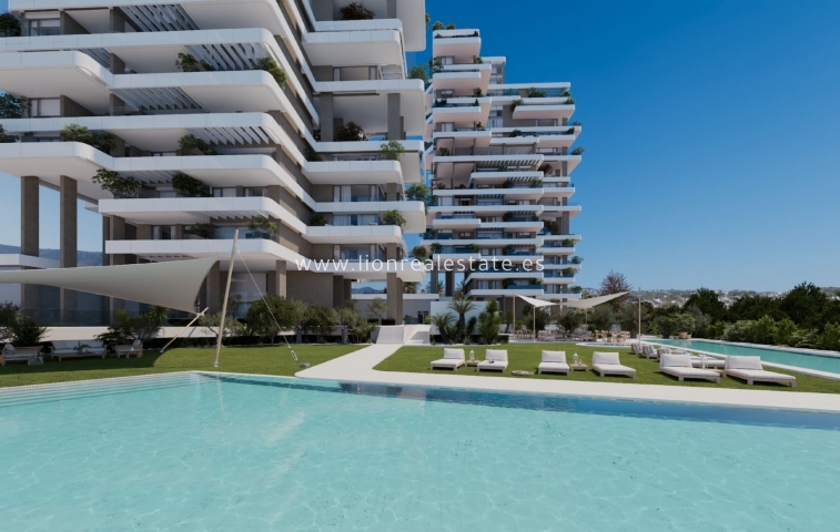 Obra nueva - Apartamento / piso - Calpe