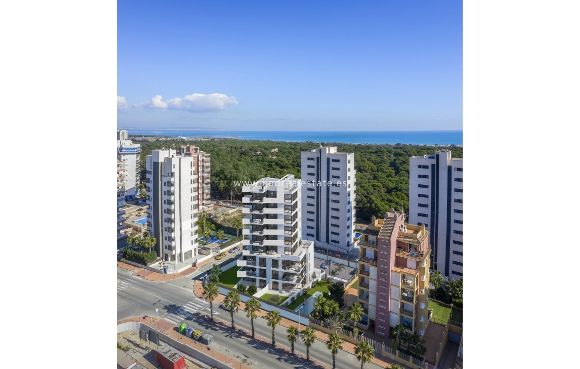 Obra nueva - Apartamento / piso - Guardamar del Segura - Pueblo