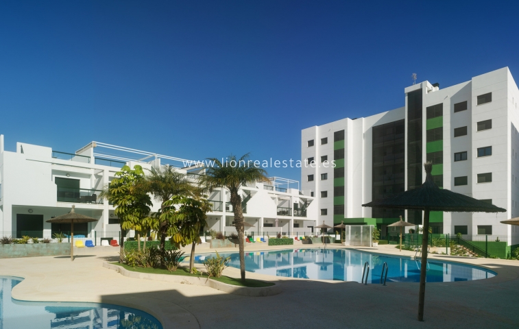 Obra nueva - Apartamento / piso - Mil Palmeras
