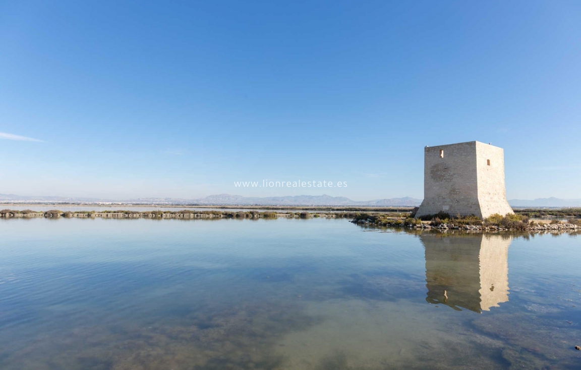 Obra nueva - Apartamento / piso - Santa Pola - Estacion de autobuses