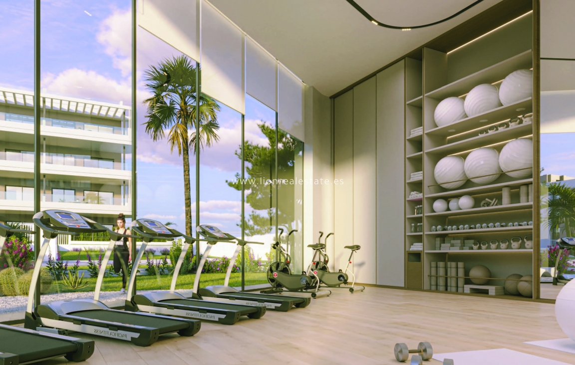 Obra nueva - Apartamento / piso - Torrevieja