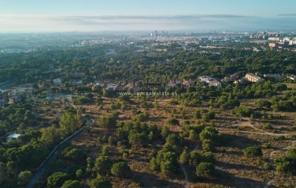 Obra nueva - Ático - Godella - Urb. Campolivar